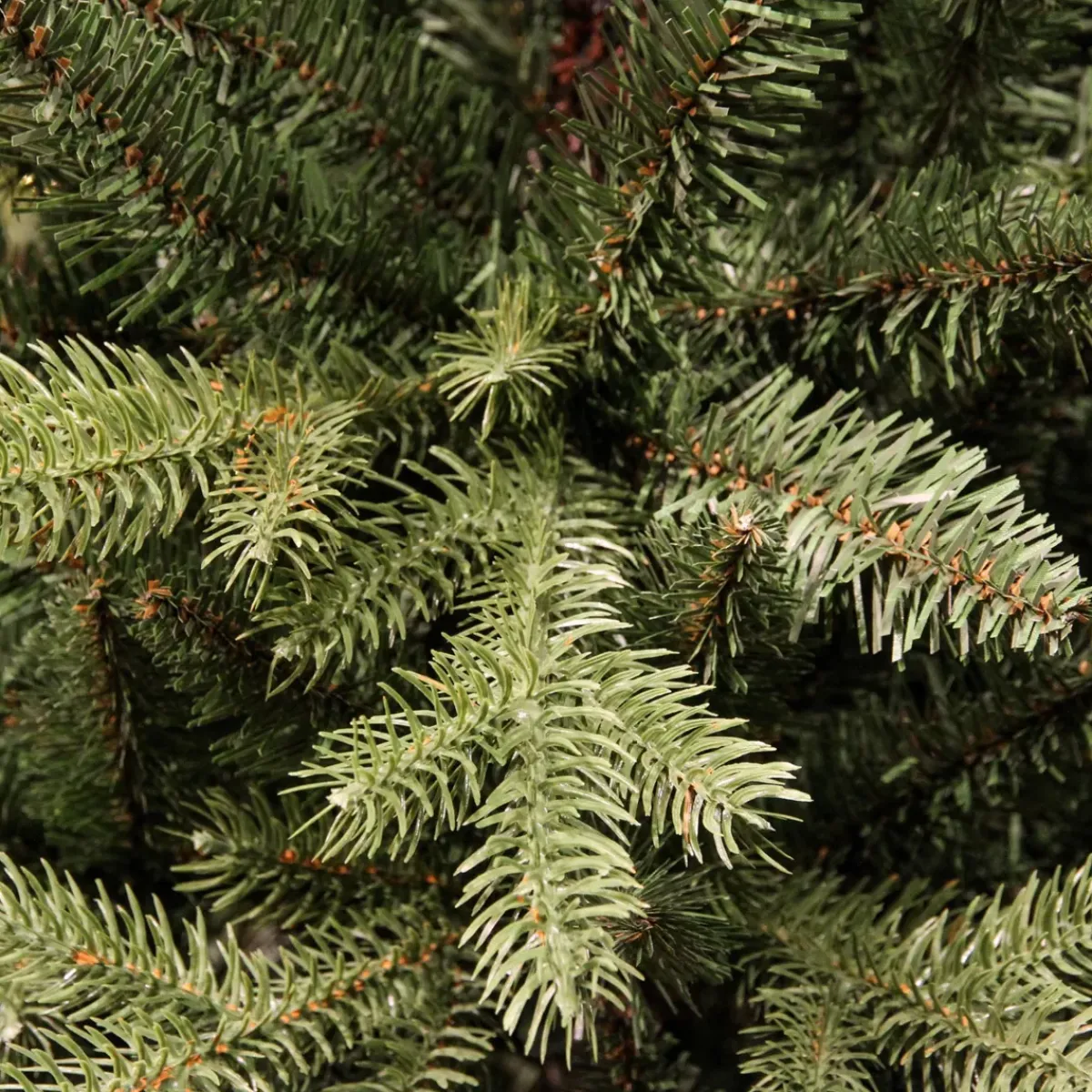 EMINZA Albero Di Natale Artificiale-Albero di Natale artificiale Allix Alt. 180 cm Verde abete