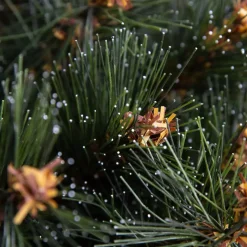 EMINZA Albero Di Natale Artificiale|Alberi Di Natale Grande Dimensione-Albero di Natale artificiale H210 cm Stockholm