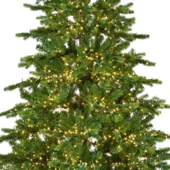 EMINZA Albero Di Natale Artificiale|Alberi Di Natale Grande Dimensione-Albero di Natale artificiale luminoso 5400 LED (H240 cm) Caucasia Nordmann Verde abete