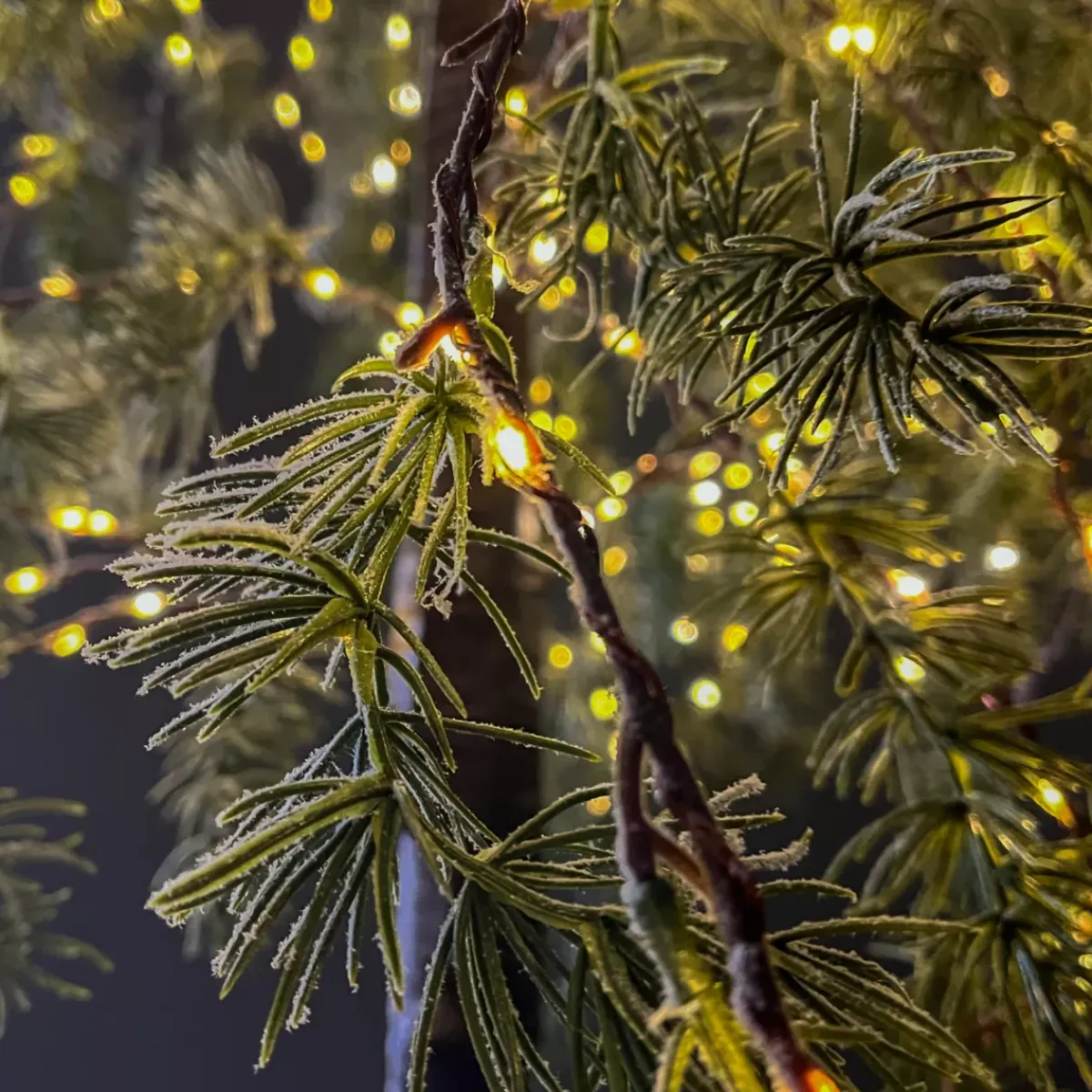 EMINZA Alberi Luminosi-Albero luminoso 600 LED (H180 cm) Betulla innevata