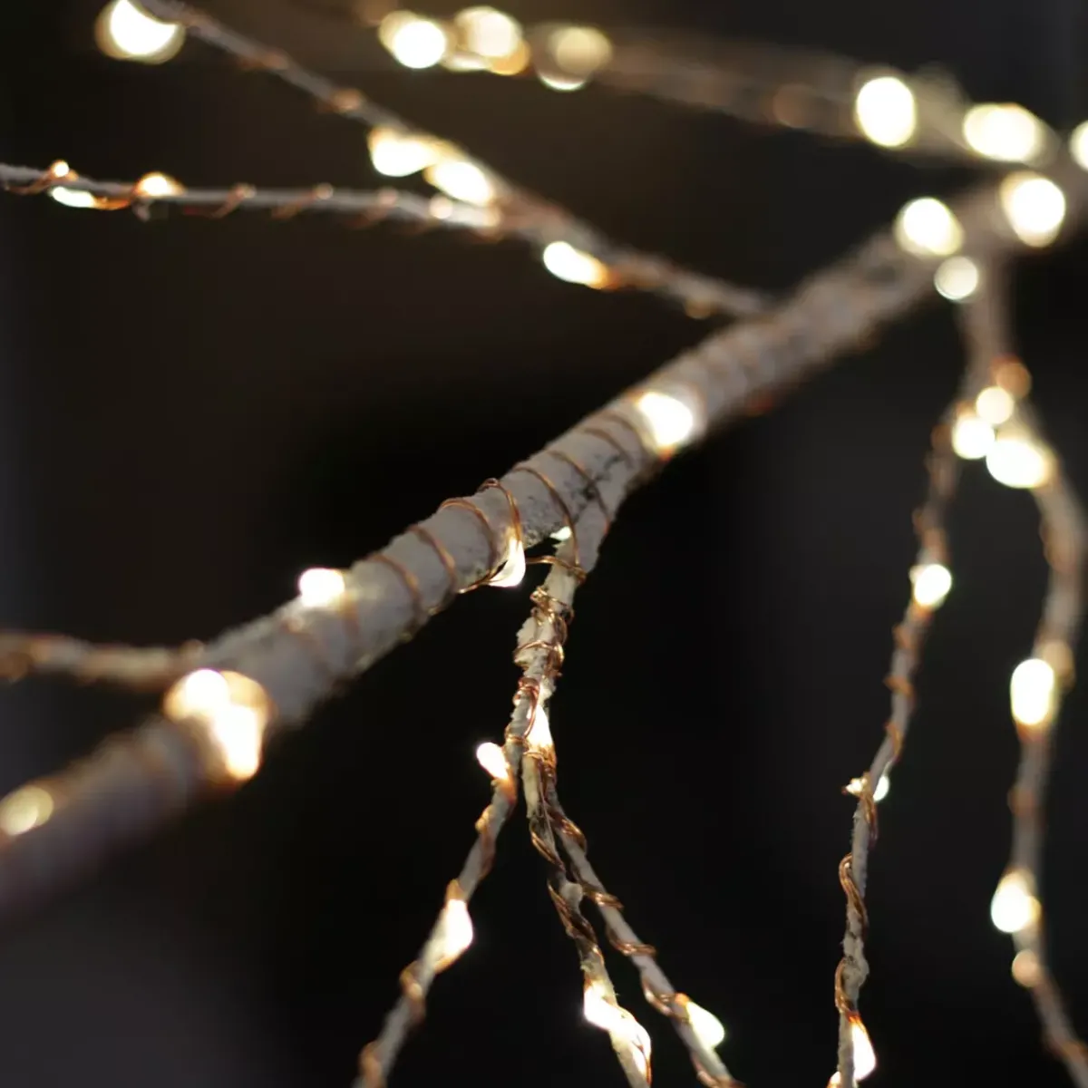 EMINZA Alberi Luminosi-Albero luminoso 750 LED (H220 cm) Betulla