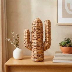 ATMOSPHERA Elementi Decorativi-Cactus deco (35 cm) Haci