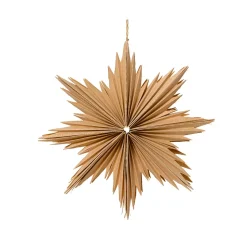KAEMINGK Decorazioni E Oggetti Natalizi-Decorazione natalizia sospesa in carta (D30 cm) Stella ghiacciata