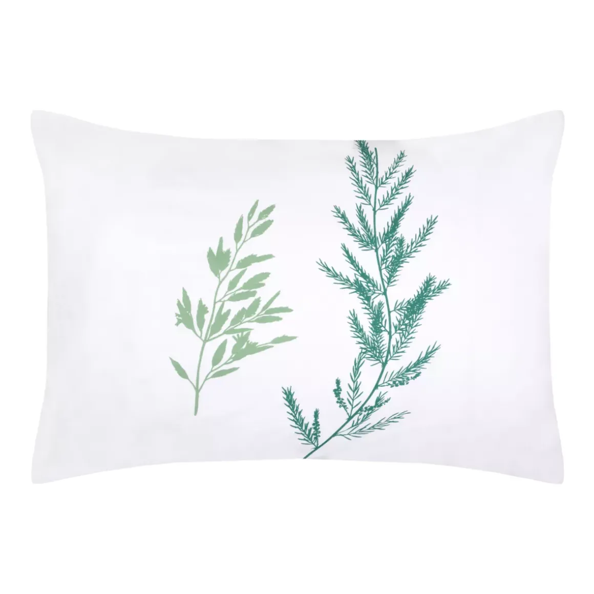 Federa per cuscino rettangolare in percalle (50 x 70 cm) Sylvana Verde
