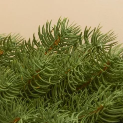 EMINZA Ghirlanda In Abete Artificiale|Alberi Di Natale Grande Dimensione-Ghirlanda di abete (300 cm - D25) Utah Lusso Verde