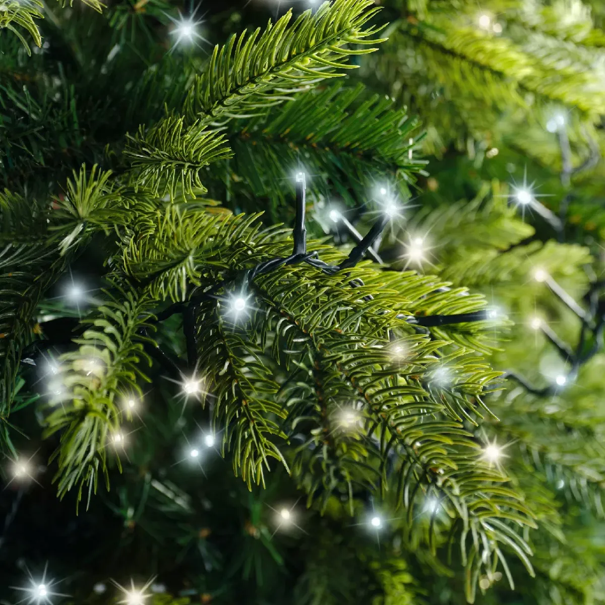 KAEMINGK Ghirlande Di Luci-Ghirlanda di luci da 16 m 750 LED con cavo verde NewLuxe Bicolore Bianco caldo/freddo