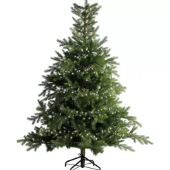 EMINZA Guilande Di Luci Grande Lunghezza|Ghirlande Di Luci-Ghirlanda di luci 22,5 m 1000 LED cavo verde NewLuxe Bicolore Bianco caldo/freddo