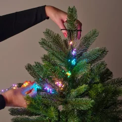 KAEMINGK Ghirlande Di Luci-Ghirlanda tenda per albero H2,40m 832 Micro LED cavo verde Multicolore pastello