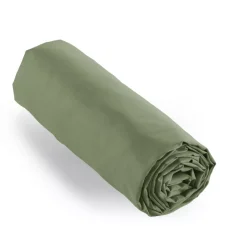 Lenzuolo con angoli percalle di cotone (180 cm) Cali Verde rosmarino