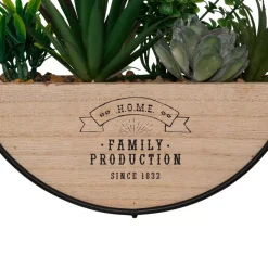 Atmosphera, cru017dateur d'intu017drieur Elementi Decorativi-Piante artificiali da appendere supporto di legno (D20 cm) Family production