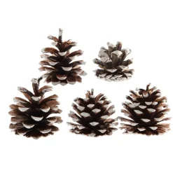KAEMINGK Decorazione Da Tavola-Set di 5 pigne Pinus nigra innevato Ecru