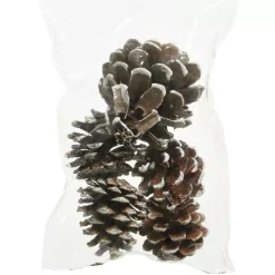 KAEMINGK Decorazione Da Tavola-Set di 5 pigne Pinus nigra innevato Ecru