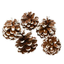 KAEMINGK Decorazione Da Tavola-Set di 5 pigne Pinus nigra innevato Ecru