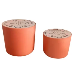 EMINZA Mobili Bambini-Set di 2 pouf contenitori bambini legno (Alt 31 e 24 cm) Volpacchiotto