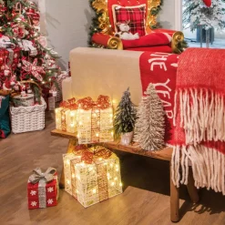 EMINZA Oggetti Decorativi E Illuminati|Decorazioni E Oggetti Natalizi-Set di 3 regali luminosi 65 LED (25 cm) Santa Bianco e