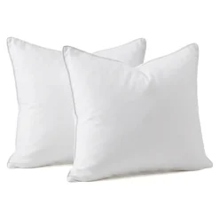 Set Piumone caldo antiacari (280 x 240 cm) + 2 Cuscini (60 x 60 cm) Comète Bianco